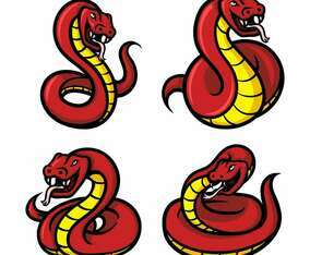 Snake Mascots