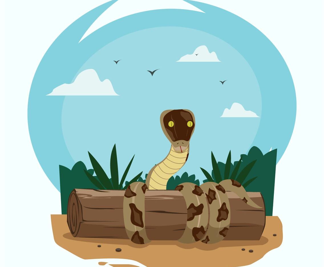 Snake Illustration