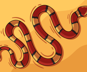 Red Snake