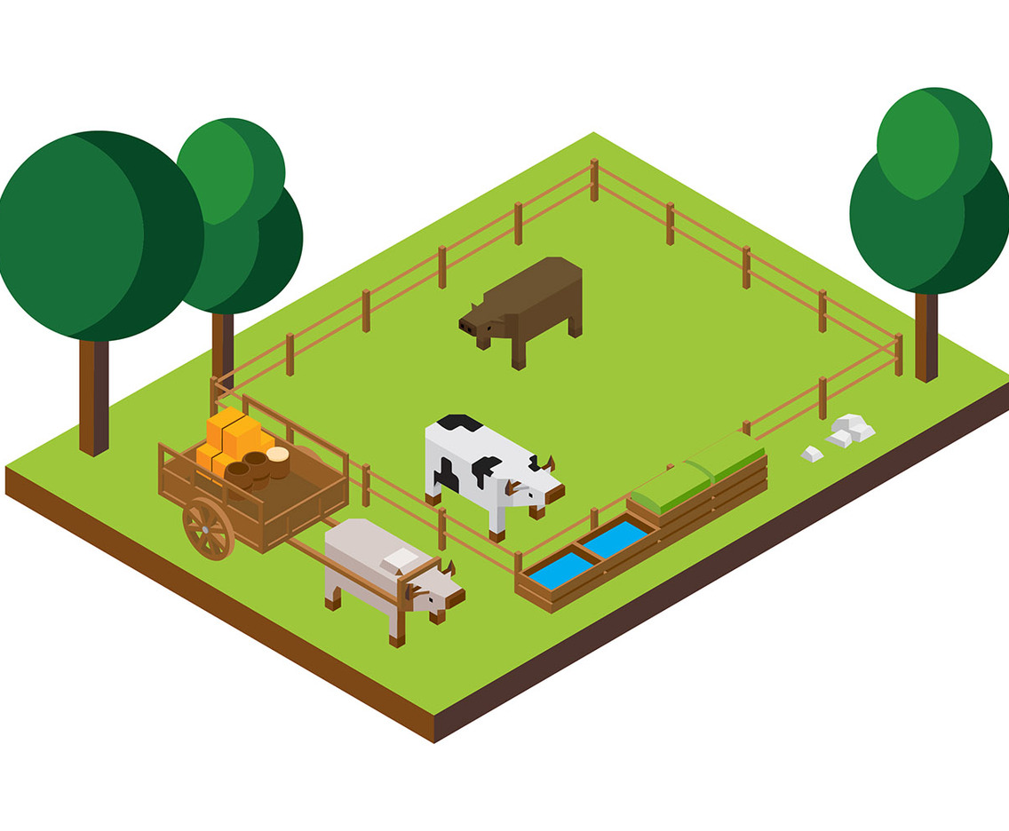 Cattles Isometric Vector