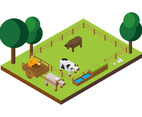 Cattles Isometric Vector