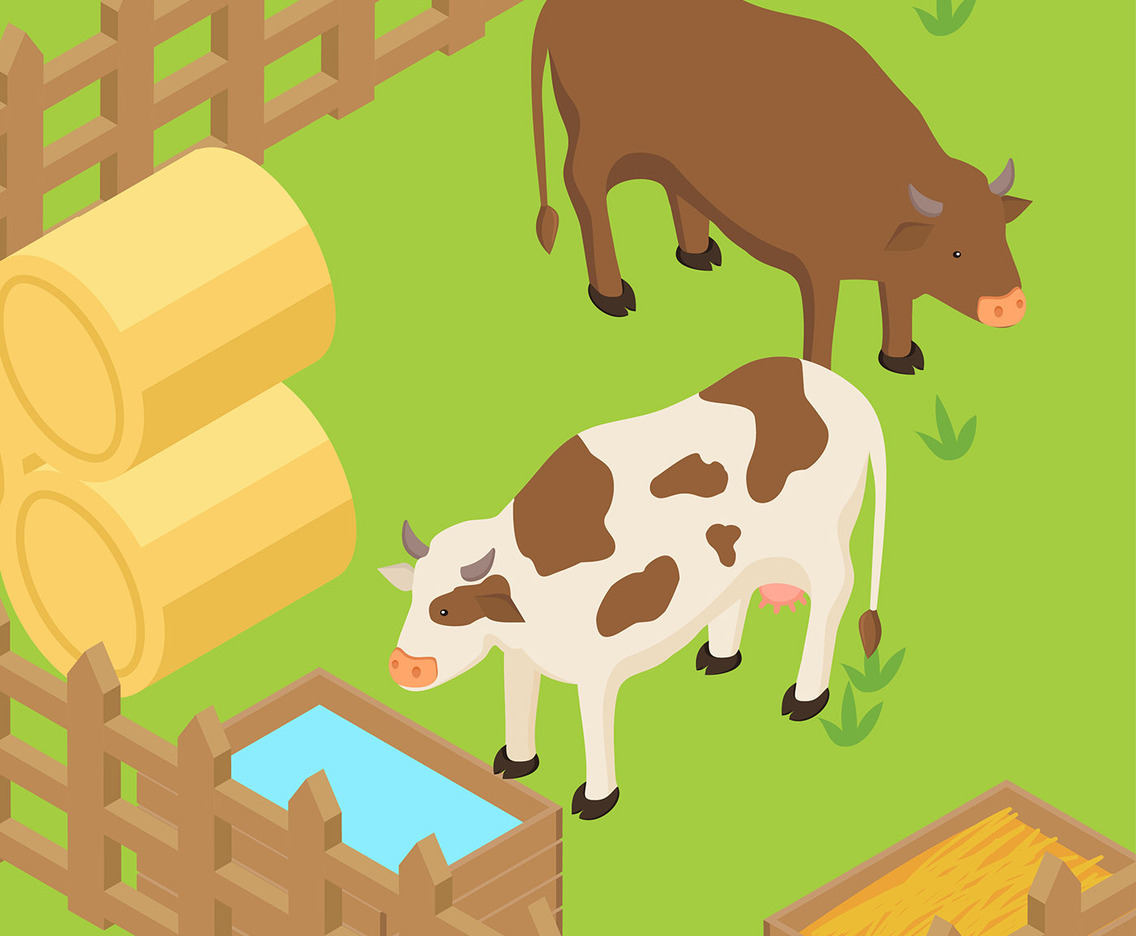 Cattle Isometric Vector