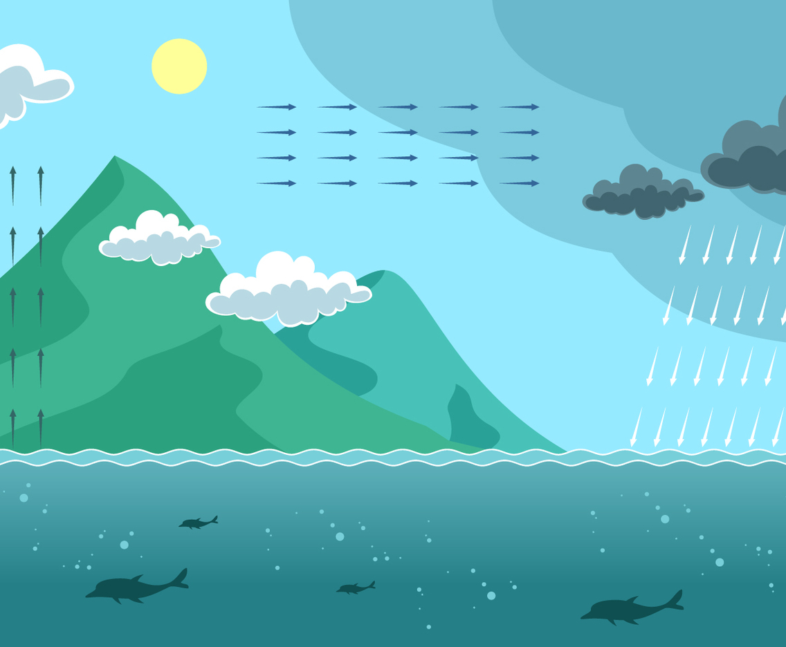 Landscape Water Cycle Infographic