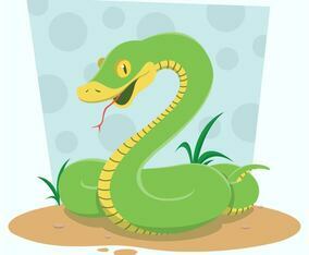 Snake Illustration