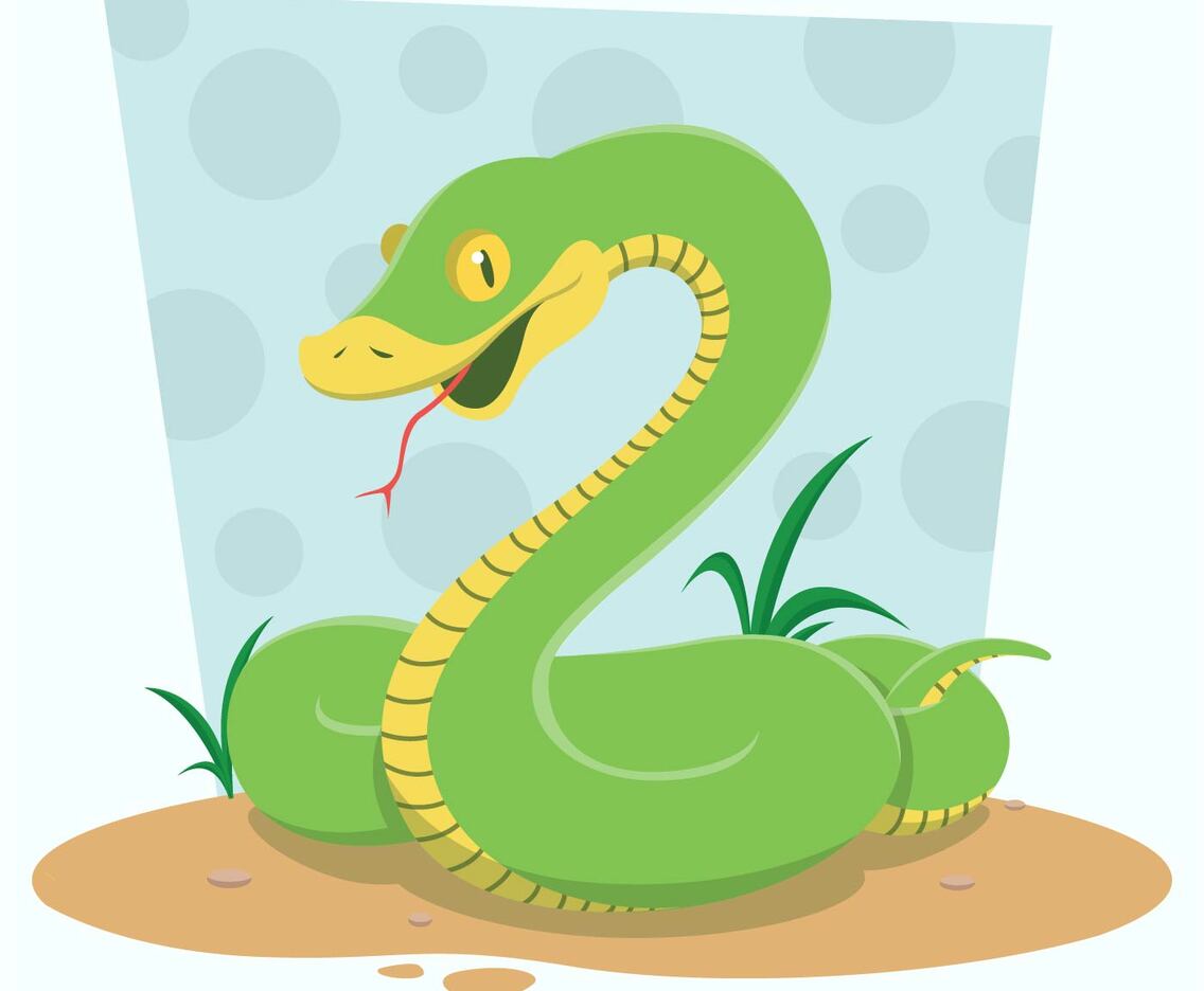 Snake Illustration