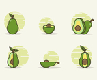 Avocado Collection