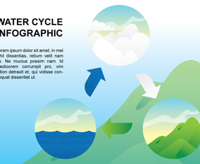 Water Cycle Infographic
