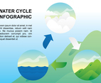Water Cycle Infographic