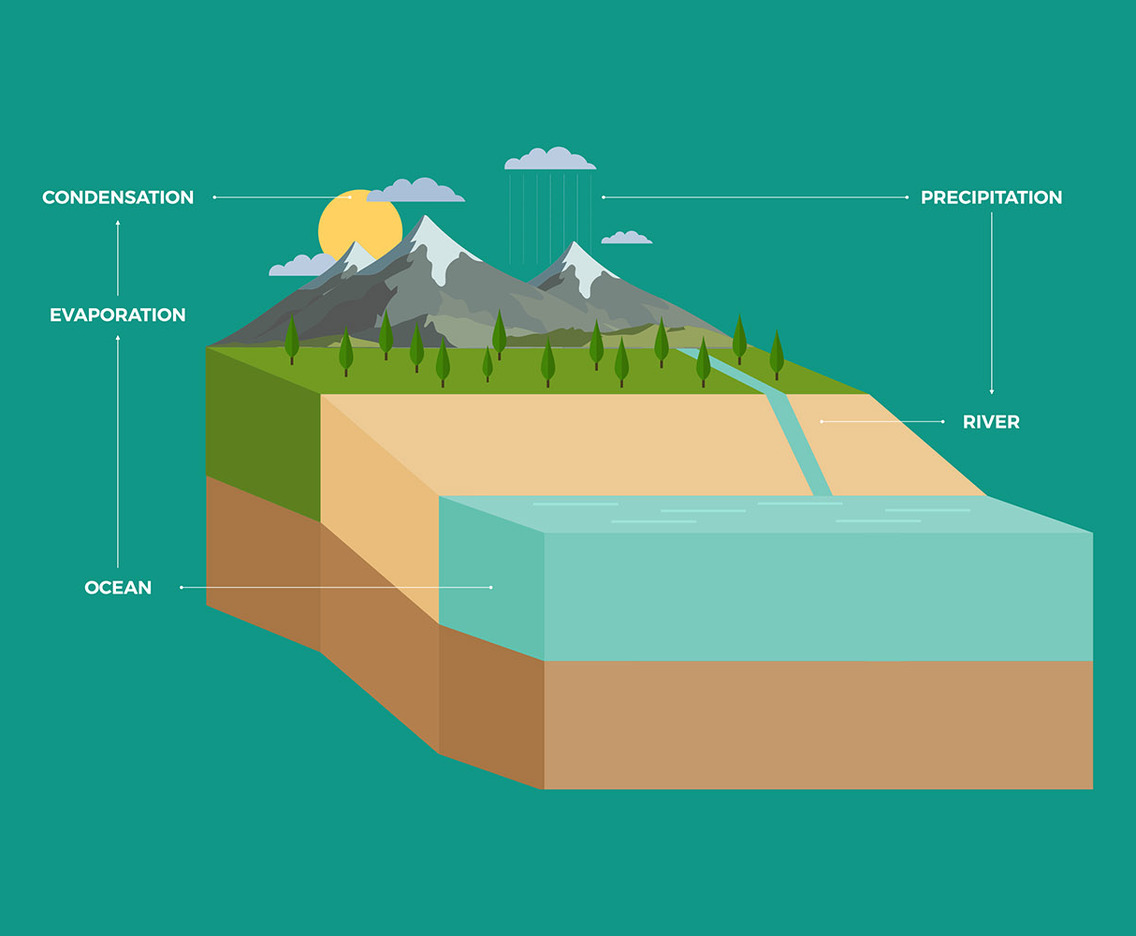 Water Cycle Infographic