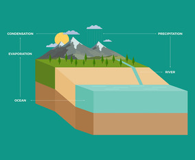 Water Cycle Infographic