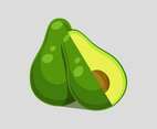 Avocado Vector Illustration