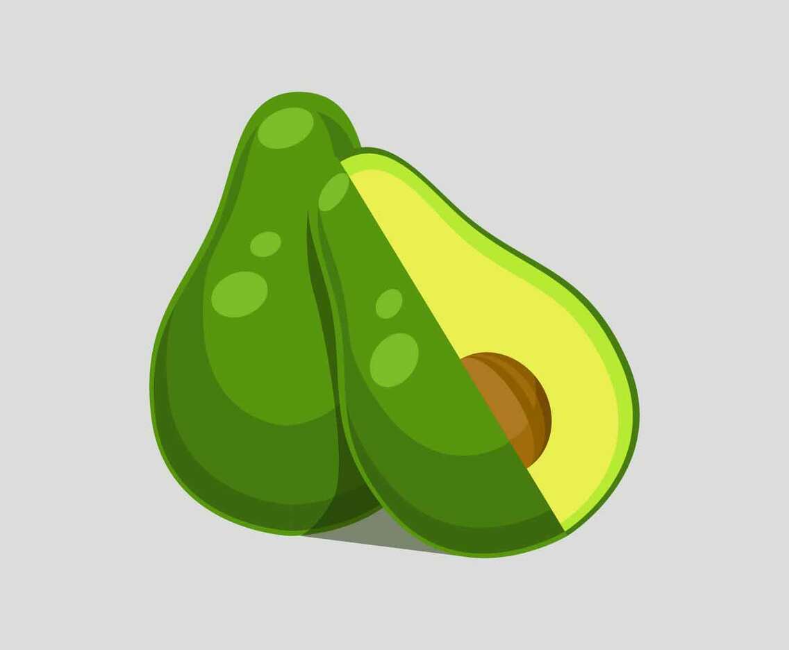 Avocado Vector Illustration