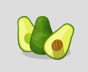 Avocado Vector Illustration