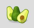 Avocado Vector Illustration