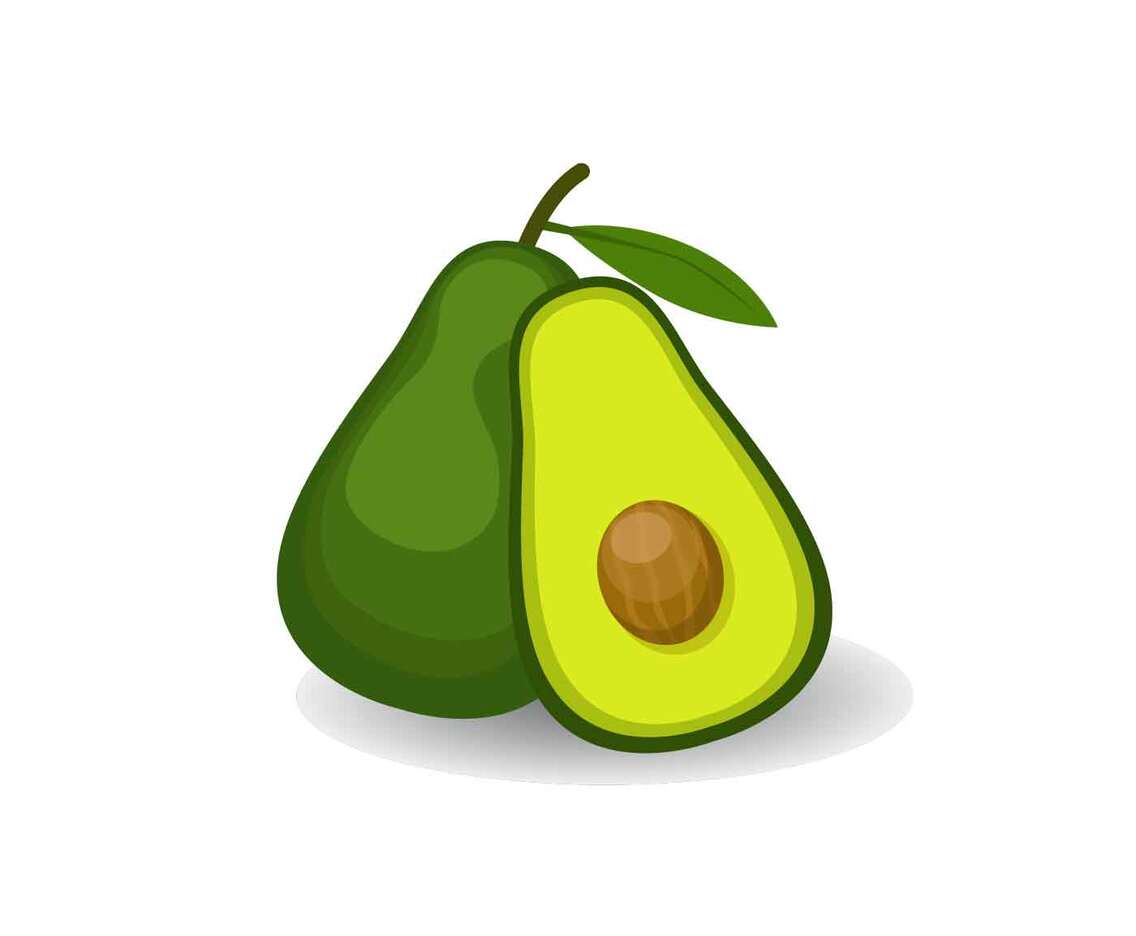 Avocado Vector Illustration