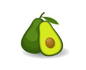 Avocado Vector Illustration