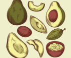 Avocado Vectors