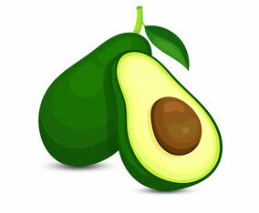 Avocado Illustration