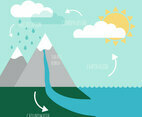 Water Cycle Infographic