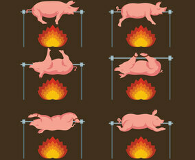 Pig Roasted Collection