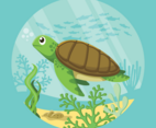Turtles Illustration