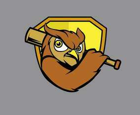 Baseball Mascot Illustration Vector