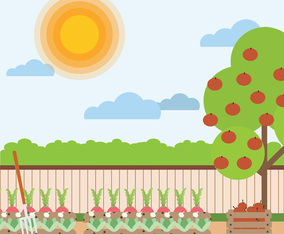 Vegetable Garden Illustration