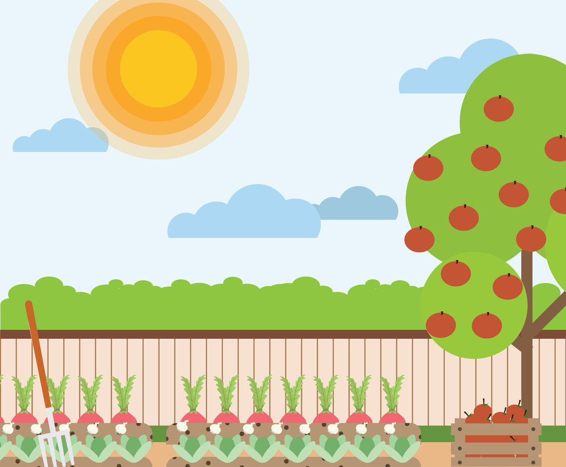 Vegetable Garden Illustration