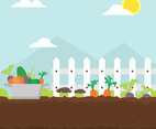 Vegetable Garden Illustration