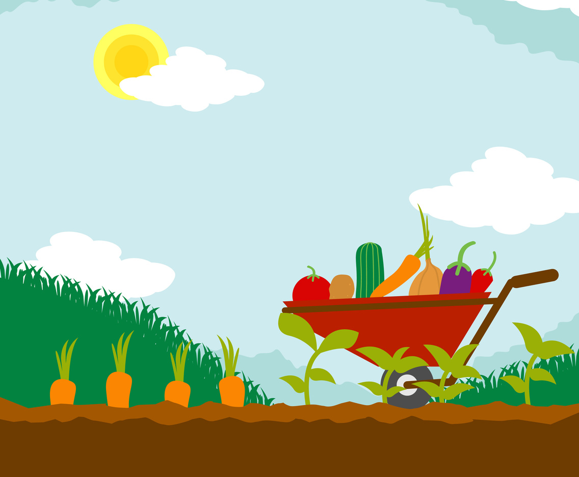 Vegetable Garden Illustration
