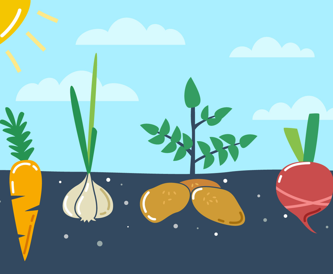 Outstanding Vegetable Garden Vectors