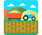 Flat Farm Illustration