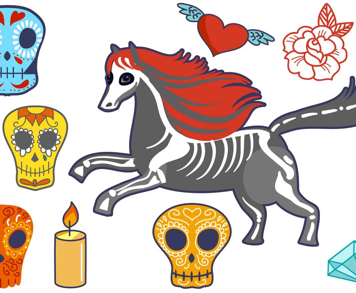Dia de Muertos Vectors