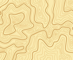 Topography MAP Background Vector