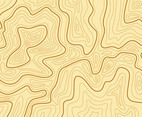 Topography MAP Background Vector