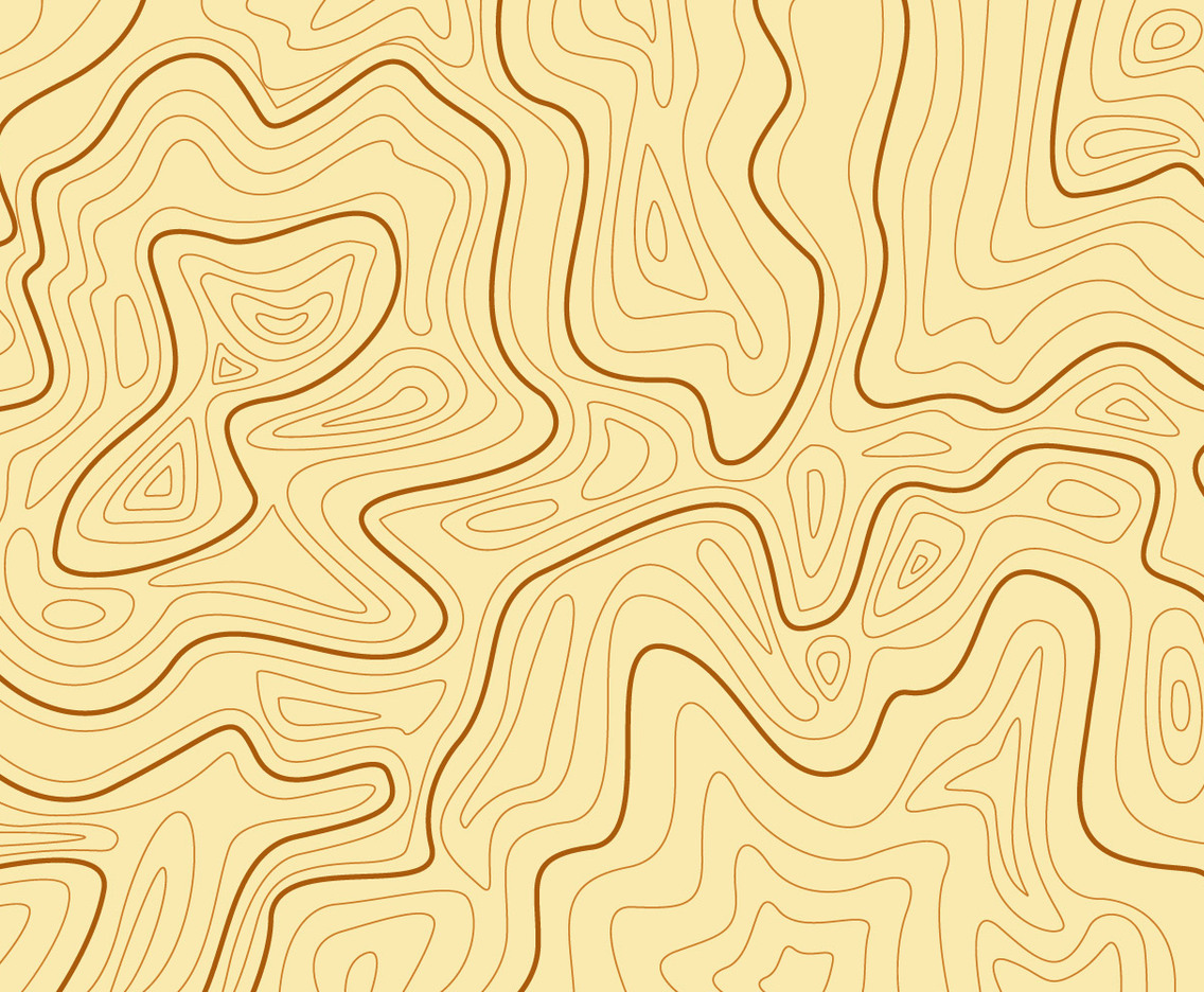 Topography MAP Background Vector