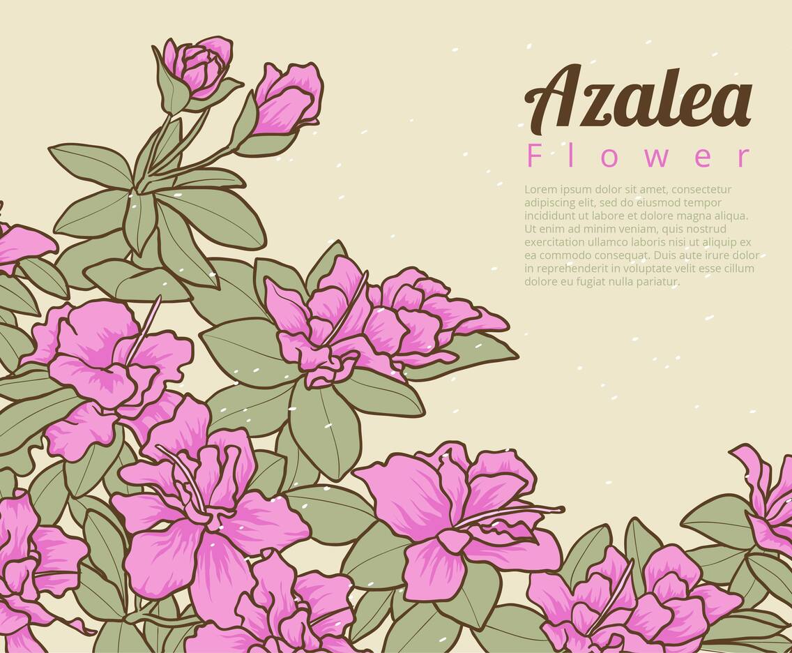 Azalea Flowers