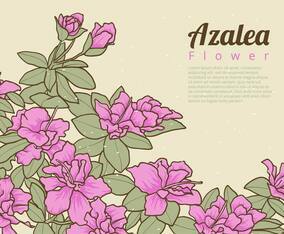 Azalea Flowers