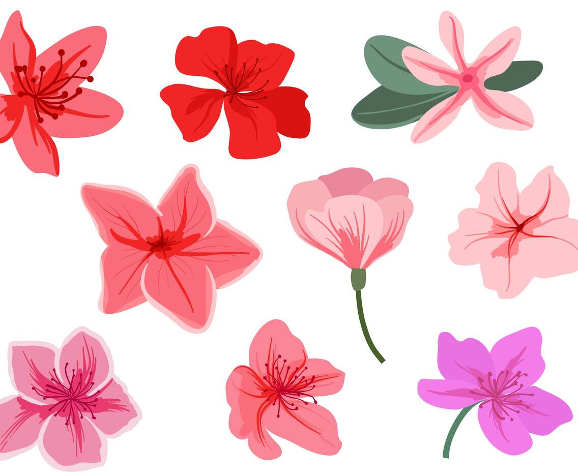 Azalea Vectors