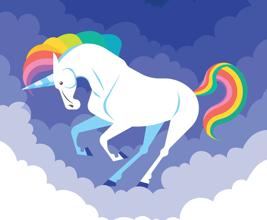 Unicorn Illustration