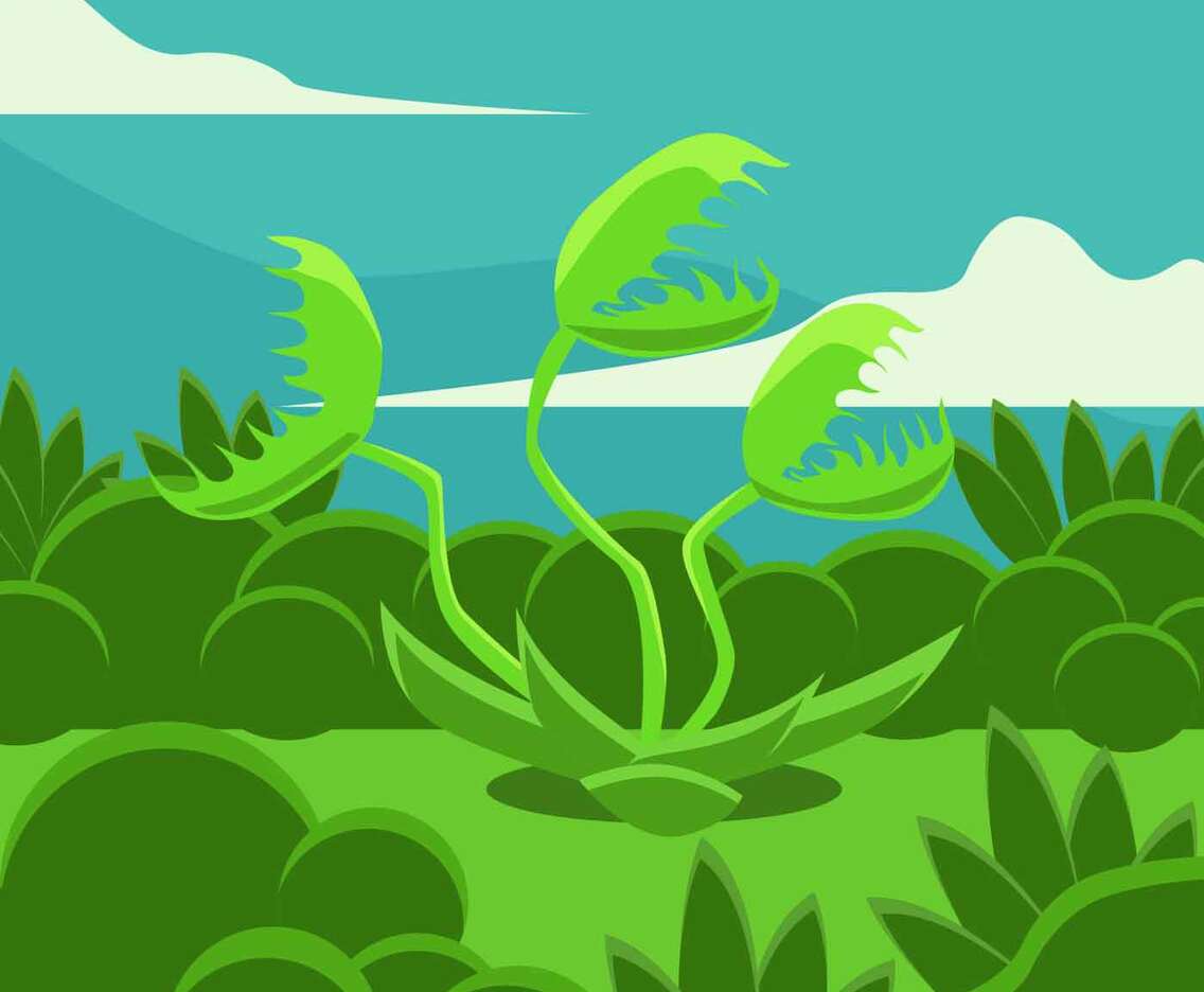 Venus Fly Trap Flat Vector Illustration