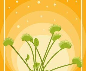 Flat Venus Fly Trap Vector Illustration