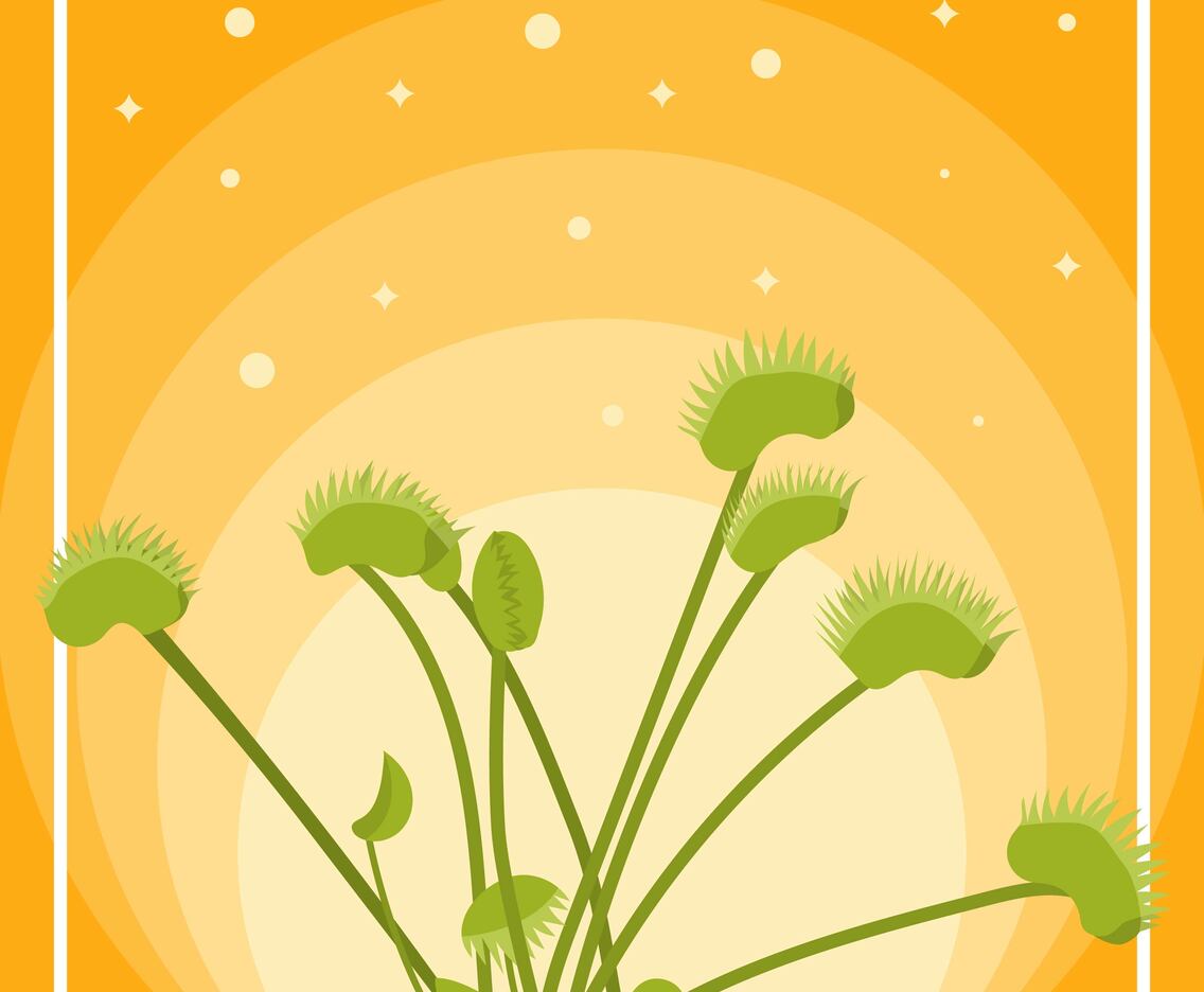 Flat Venus Fly Trap Vector Illustration