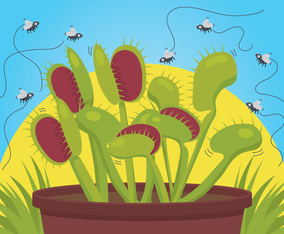 Venus fly trap vector