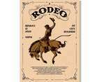 Rodeo Flyer Vector