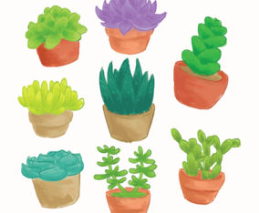 Succulents Watercolor
