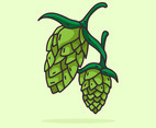 Hop Plant line illustration