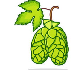 Flat Hop Plant Illustration