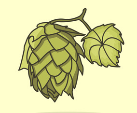 Flat Hop Plant Illustration