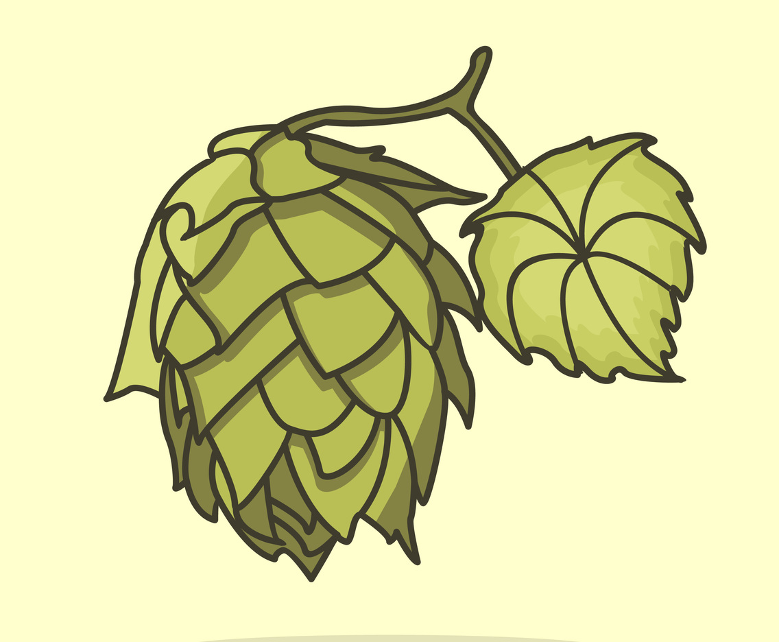 Flat Hop Plant Illustration